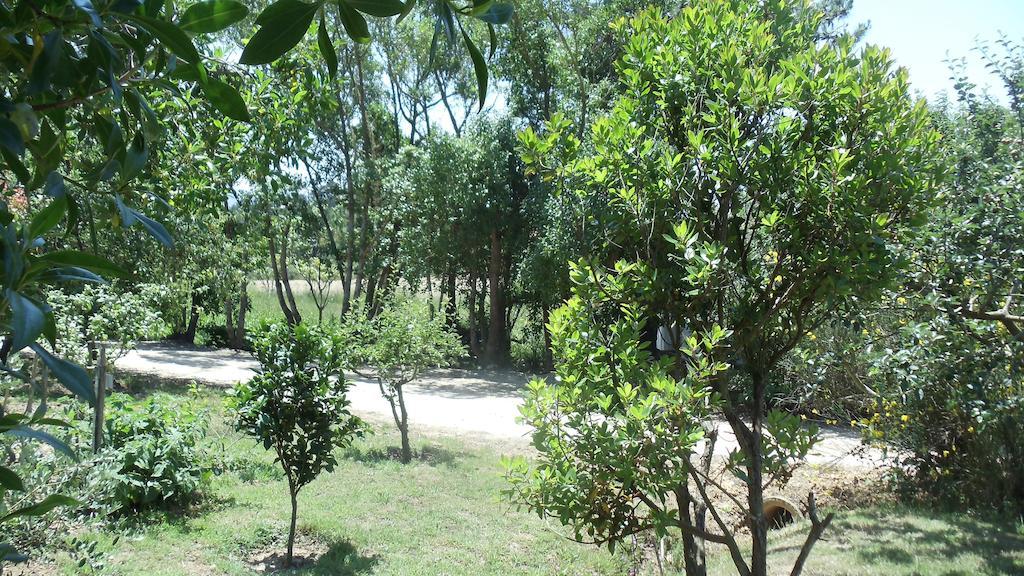 Casal Novo Guest House Сао Мартино до Порто Екстериор снимка